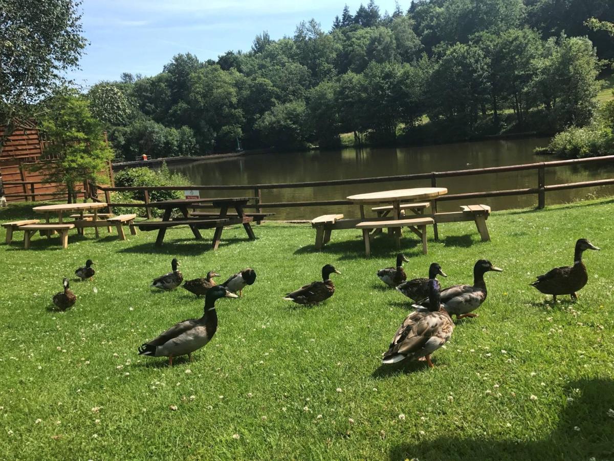 Conkers Lodge For 6 With Hot Tub & Secluded Decking - Spa Resort In Devon Chudleigh 外观 照片